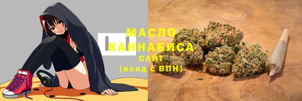 2c-b Горнозаводск