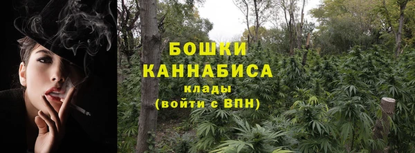 крисы Горно-Алтайск
