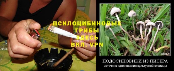 крисы Горно-Алтайск