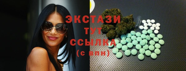 2c-b Горнозаводск