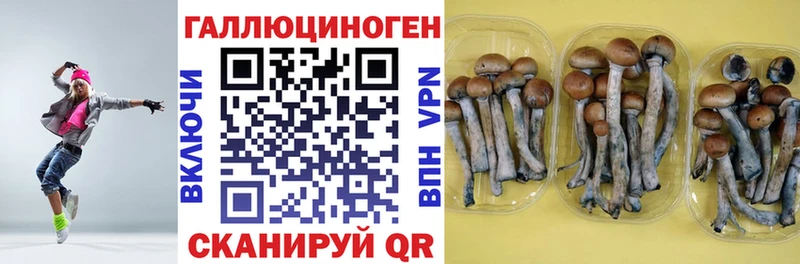 Псилоцибиновые грибы ЛСД  Оханск 